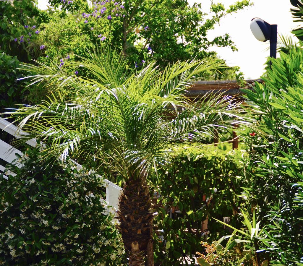 Caposud And Club Apart-hotel Ispica