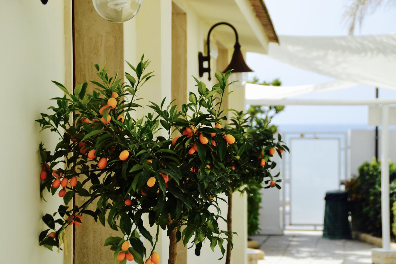 Caposud And Club Aparthotel